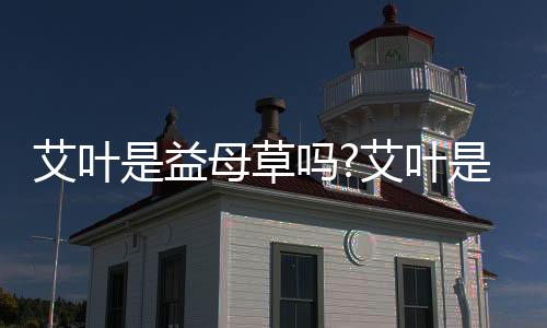 艾葉是益母草嗎?艾葉是不是益母草?