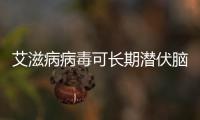艾滋病病毒可長期潛伏腦脊液中 與認知障礙高度相關