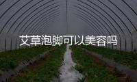 艾草泡腳可以美容嗎