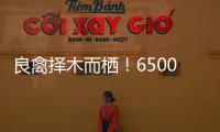 良禽擇木而棲！6500萬英鎊，從藍到紅的凱·哈弗茨！