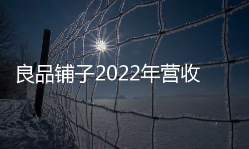 良品鋪子2022年營收94.40億元 門店達3226家