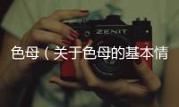 色母（關于色母的基本情況說明介紹）