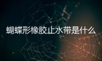蝴蝶形橡膠止水帶是什么樣的