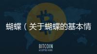 蝴蝶（關(guān)于蝴蝶的基本情況說明介紹）