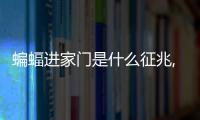 蝙蝠進家門是什么征兆,蝙蝠在家門口什么意思
