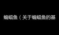 蝙蝠魚（關于蝙蝠魚的基本情況說明介紹）