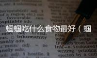 蟈蟈吃什么食物最好（蟈蟈吃什么）