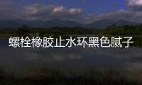 螺栓橡膠止水環(huán)黑色膩?zhàn)有?0mm價(jià)錢(qián)