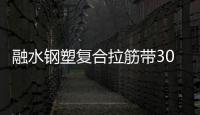 融水鋼塑復合拉筋帶30020B規(guī)格