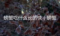 螃蟹吃什么長的快（螃蟹吃什么）