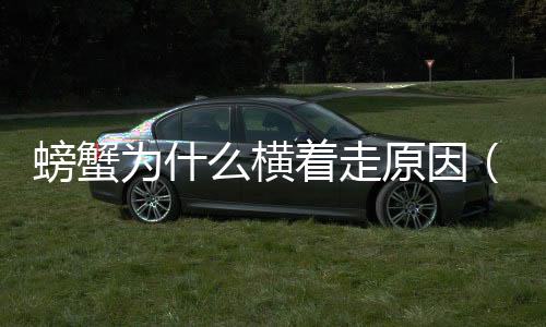 螃蟹為什么橫著走原因（螃蟹為什么橫著走原因分析）