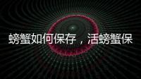 螃蟹如何保存，活螃蟹保存的方法