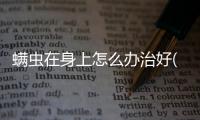 螨蟲在身上怎么辦治好(螨蟲在身上怎么去除)