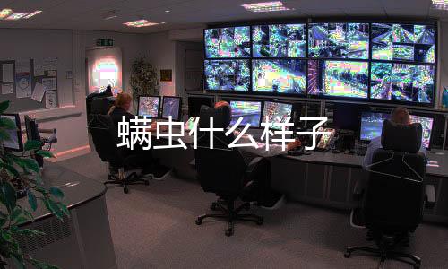 螨蟲什么樣子