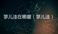 蓼兒洼在哪里（蓼兒洼）