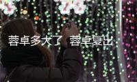 蓉卓多大了  蓉卓復出之后雖然爆紅了但卻被指網紅臉