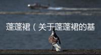 蓬蓬裙（關于蓬蓬裙的基本情況說明介紹）
