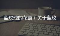 藍玫瑰的花語（關于藍玫瑰的花語的基本情況說明介紹）
