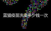 藍(lán)貓疫苗洗澡多少錢一次  藍(lán)貓疫苗洗澡多少錢一只