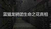 藍貓龍騎團生命之花真相是什么?