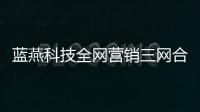藍燕科技全網營銷三網合一，商城營銷首選的網站建設方案