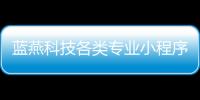 藍(lán)燕科技各類專業(yè)小程序開發(fā)