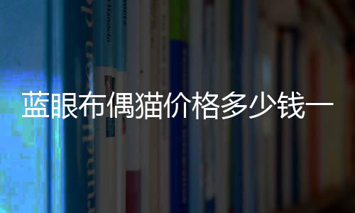 藍眼布偶貓價格多少錢一只
