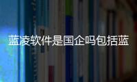 藍凌軟件是國企嗎包括藍凌軟件科技有限公司的具體內容