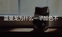 藍曼龍為什么一半顏色不一樣？為什么藍曼龍越養顏色越深