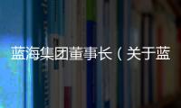 藍(lán)海集團(tuán)董事長（關(guān)于藍(lán)海集團(tuán)董事長的基本情況說明介紹）