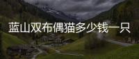 藍山雙布偶貓多少錢一只(藍山雙布偶是什么意思)