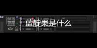 藍(lán)靛果是什么