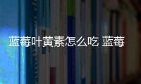 藍莓葉黃素怎么吃 藍莓葉黃素和葉黃素有什么區別