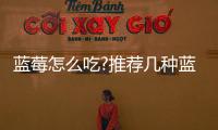 藍莓怎么吃?推薦幾種藍莓最常見的吃法