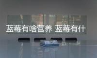 藍莓有啥營養 藍莓有什么用