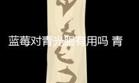 藍(lán)莓對(duì)青光眼有用嗎 青光眼的治療方法有哪些