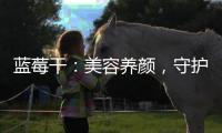 藍莓干：美容養顏，守護肌膚的小秘密