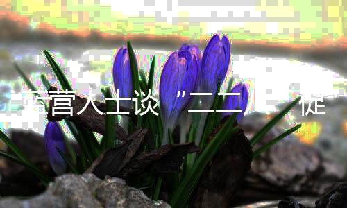 藍營人士談“二二八”促民進黨放下算計馬英九：要就事論事是非分明