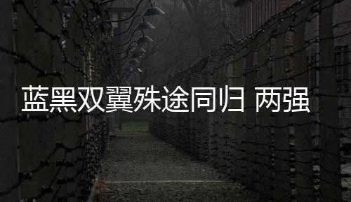 藍(lán)黑雙翼殊途同歸 兩強(qiáng)援竟同時淪為添頭