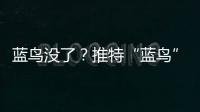 藍鳥沒了？推特“藍鳥”標志將被改為“X”