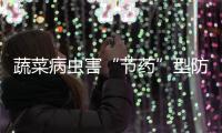 蔬菜病蟲害“節藥”型防治技術
