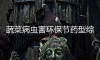 蔬菜病蟲害環保節藥型綜防技術