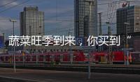 蔬菜旺季到來，你買到“一元菜”了嗎？