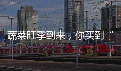 蔬菜旺季到來，你買到“一元菜”了嗎？