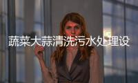 蔬菜大蒜清洗污水處理設備