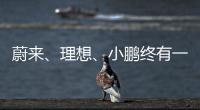 蔚來、理想、小鵬終有一戰(zhàn)
