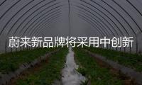 蔚來新品牌將采用中創新航或弗迪電池