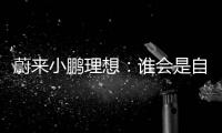 蔚來小鵬理想：誰會是自動駕駛領導者？