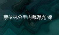 蔡依林分手內幕曝光 錦榮被曝夜店摟妹