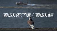 蔡成功死了嘛（蔡成功結局）